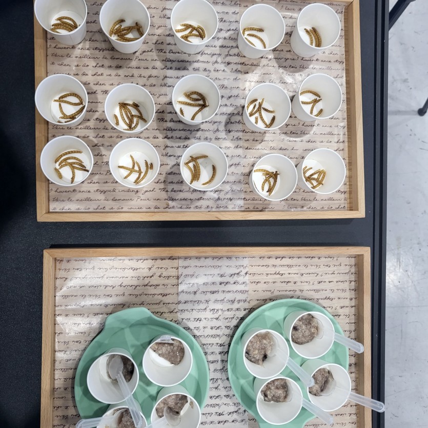 6e0bcaf2a38885a570c59436cb9708d3_1694861752_7592.jpg