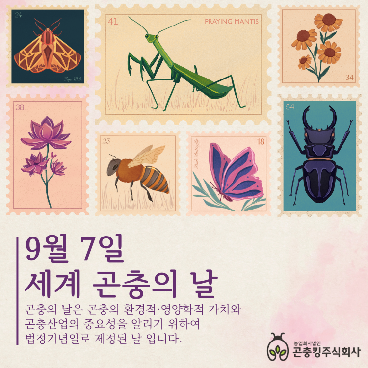 8686ac9f4290c7901c8018a5ded74bd3_1756184735_3621.png